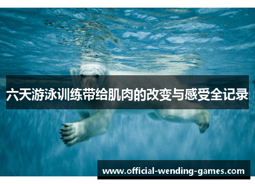 六天游泳训练带给肌肉的改变与感受全记录