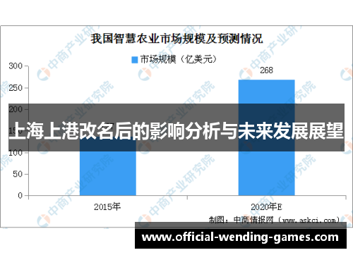 上海上港改名后的影响分析与未来发展展望