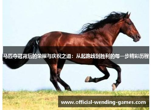 马匹夺冠背后的荣耀与庆祝之道：从起跑线到胜利的每一步精彩历程