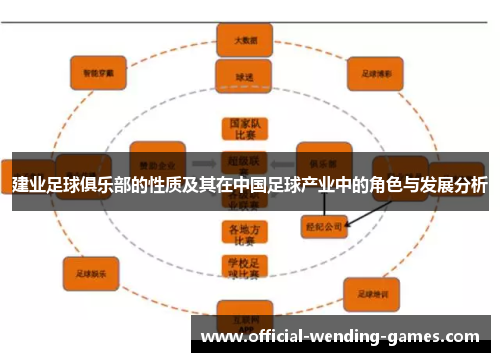 建业足球俱乐部的性质及其在中国足球产业中的角色与发展分析