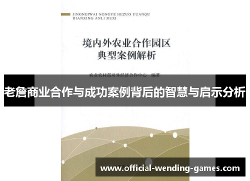 老詹商业合作与成功案例背后的智慧与启示分析